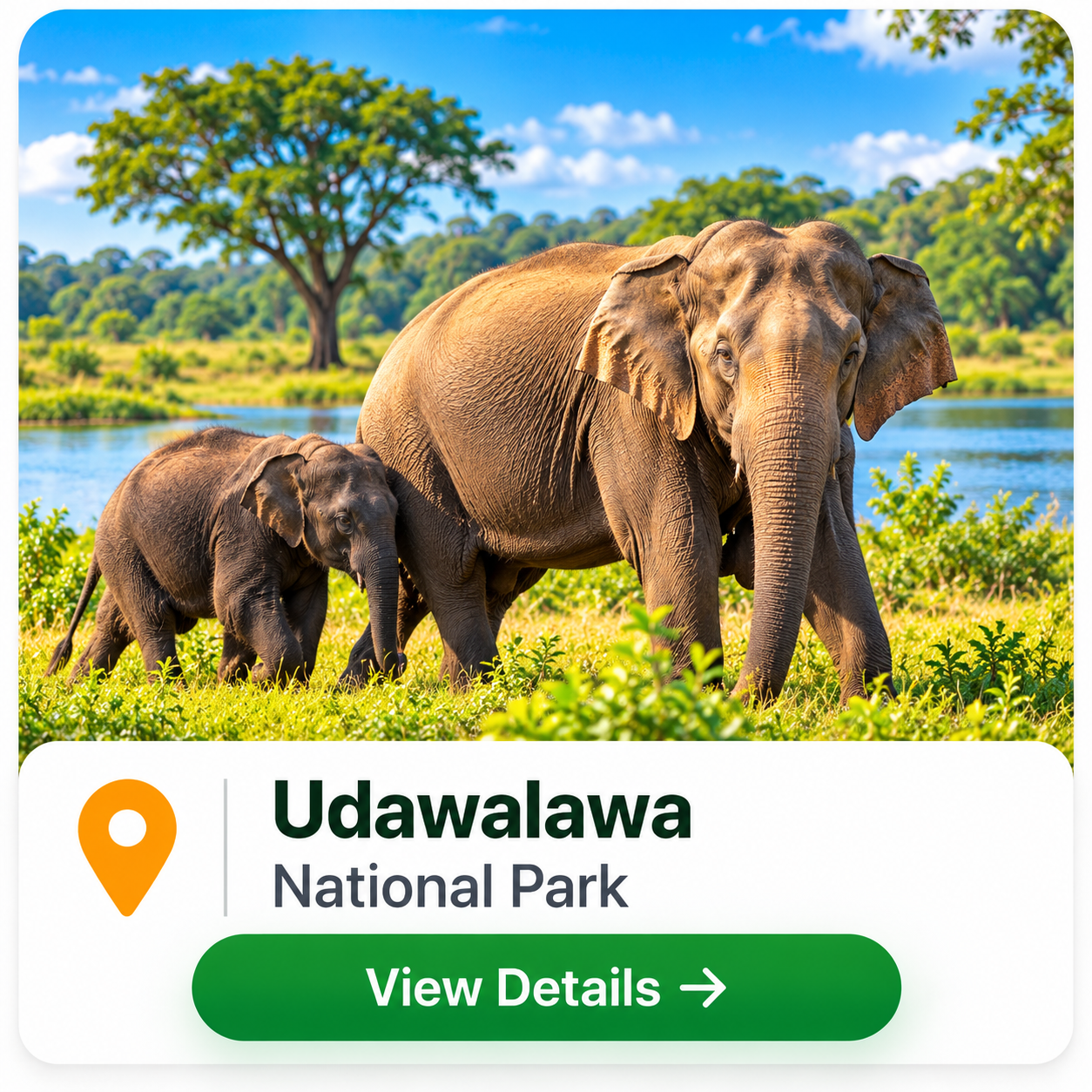 Udawalawa Safari Travel Card
