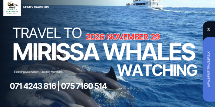 MIRISSA WHALES WATCHING 1 DAY AC TOUR