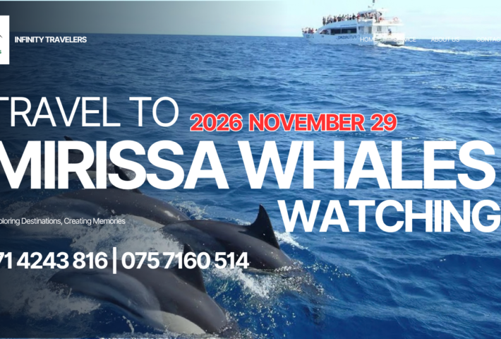 MIRISSA WHALES WATCHING 1 DAY AC TOUR